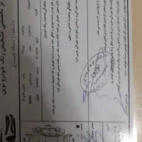 پژو 206 تیپ2 سفید مدل 91 کارشناسی شده|خودرو سواری و وانت|کرج, ساسانی (قلمستان)|دیوار