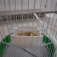 قفس گرد سبز|لوازم جانبی حیوانات|فردیس, شهرک ناز|دیوار