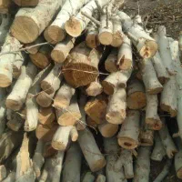 ورامین پیشواپاکدشت قرچک وحومه