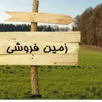 زمین ۲۵۶ متری