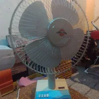 پنکه