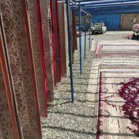 کارخانه قالیشویی محمدی