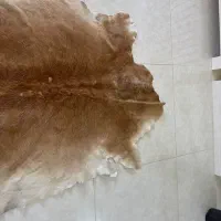 پوست فروشی|صنایع دستی و سایر لوازم تزئینی|تهران, اتابک|دیوار
