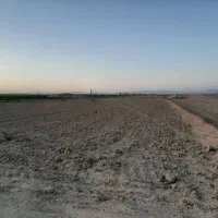 زمین برای کشاورزی و احداث واحد صنعتی (زیر قیمت)|فروش زمین و ملک کلنگی|اصفهان, براآن شمالی|دیوار