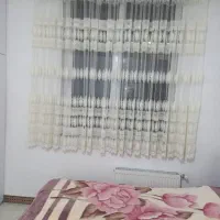 پرده توردرحدنو