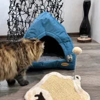 لانه گربه و اسکرچر