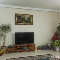 سلام . تمامی برند های آپارتمانی در همه سایز گلدانی|گل و گیاه طبیعی|تهران, پردیسان|دیوار