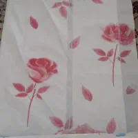 تولید سفره یکبار مصرف|سفره، حوله، دستمال آشپزخانه|پاکدشت, پاکدشت (مامازند)|دیوار