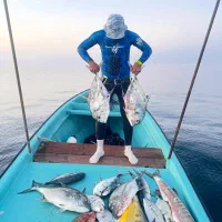 فروش ماهی و میگو