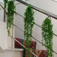 گل ریسه