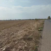 زمین|فروش دفتر صنعتی، کشاورزی، تجاری|نمین, |دیوار