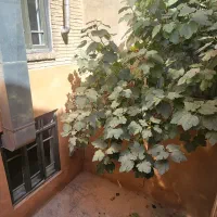 خانه مستقل در دو طبقه|اجارهٔ خانه و ویلا|تهران, راه آهن|دیوار