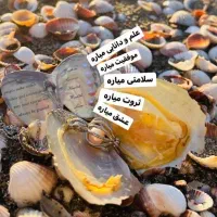 گردنبند مروارید عشق|بدلیجات|سنندج, |دیوار