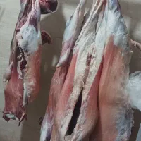 قصابیگوسفندی650|خوردنی و آشامیدنی|مریوان, |دیوار