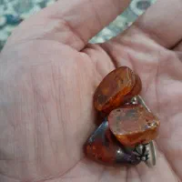 انگشتروگردنی کهربا اصل