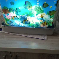 شب خواب زیبا|ماهی|قزوین, |دیوار