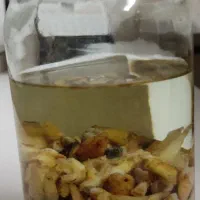 دندان برای تمرین دانشجوخای دندانپزشکی