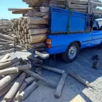 خریدار چوب تر و خشک|خدمات باغبانی و درختکاری|چالدران, |دیوار
