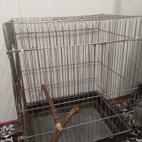 قفس پرنده|لوازم جانبی حیوانات|نی‌ریز, |دیوار