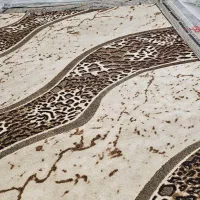 فرش۹|فرش|مشهد, آزادشهر|دیوار