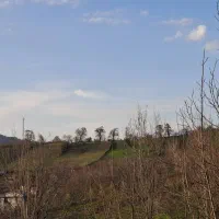 فروش زمین باغ گردو فرصت طلایی سرمایه گذاری