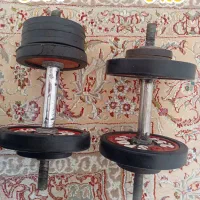 دنبل|تجهیزات ورزشی|قم, چهل درخت‎|دیوار