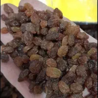 کشمش ارگانیک