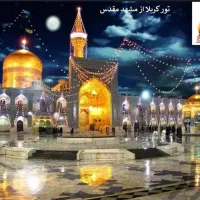 زیارت امام رضا