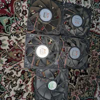 فن ماینر