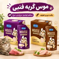 پوچ فنبی دردو طعم