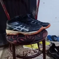 کتانی و دمبایی