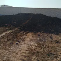 فروش کود گاو شیری
