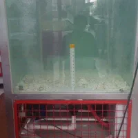 آکواریوم صنعتی قزل الا