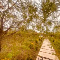 آپارتمان-165-متری-فرهنگ-22