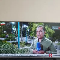 سمساری بزرگ عدالت ال ای دی ۴۳ ال جی