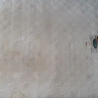 تشک پرمینه