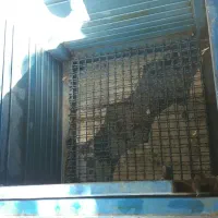 گلدان اهنی|گل مصنوعی|شیراز, دشت چنار|دیوار