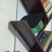 دو عدد کتابخانه درختی دیواری|کتابخانه، شلف، قفسه‌های دیواری|شیراز, فرگاز|دیوار