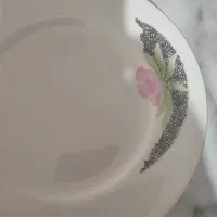 بشقاب چینی طبق عکس