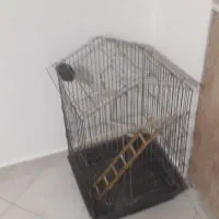 قفس ۱۰۳۳