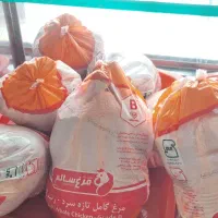 نیرو جهت مرغ فروشی