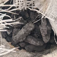 فروش ذغال