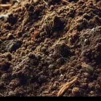 زمین شهرک فارابی