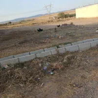 فروش زمین مسکونی