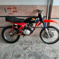 تریل مزایده وحشی xl