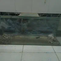 آکواریوم شیشه ایی