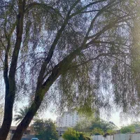 فروش-زمین