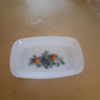 کره خوری آرکوپال اصل فرانسه