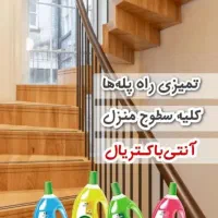 لینکس گیاهی|مواد شوینده و دستمال کاغذی|گنبد کاووس, |دیوار