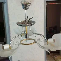 یک عددلوستر درحدنوسه شاخه سالم